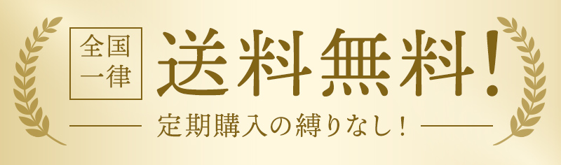 送料無料・定期縛りなし