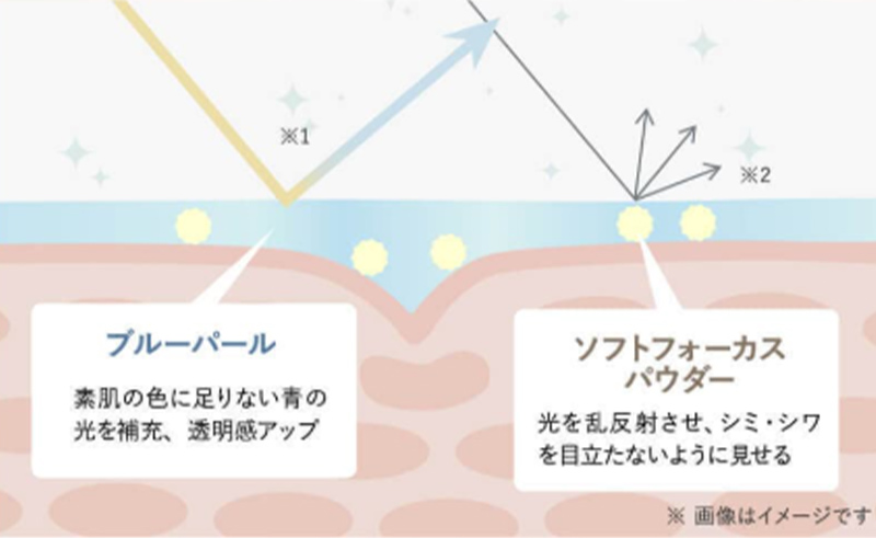LP画像